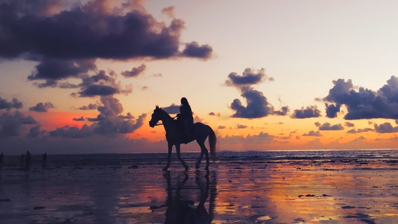 ??️ 秋季養生攻略:排濕、健行、新季開始!