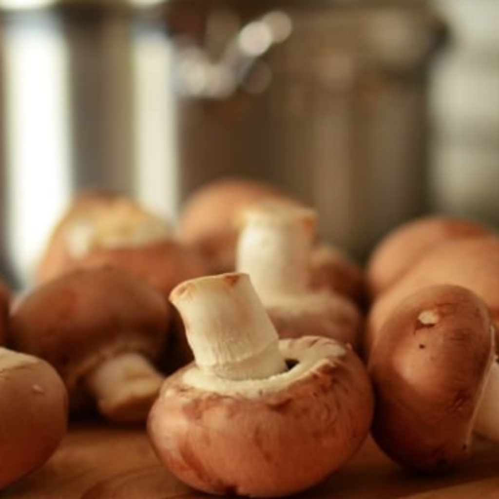 蘑菇有助于对抗大脑衰退