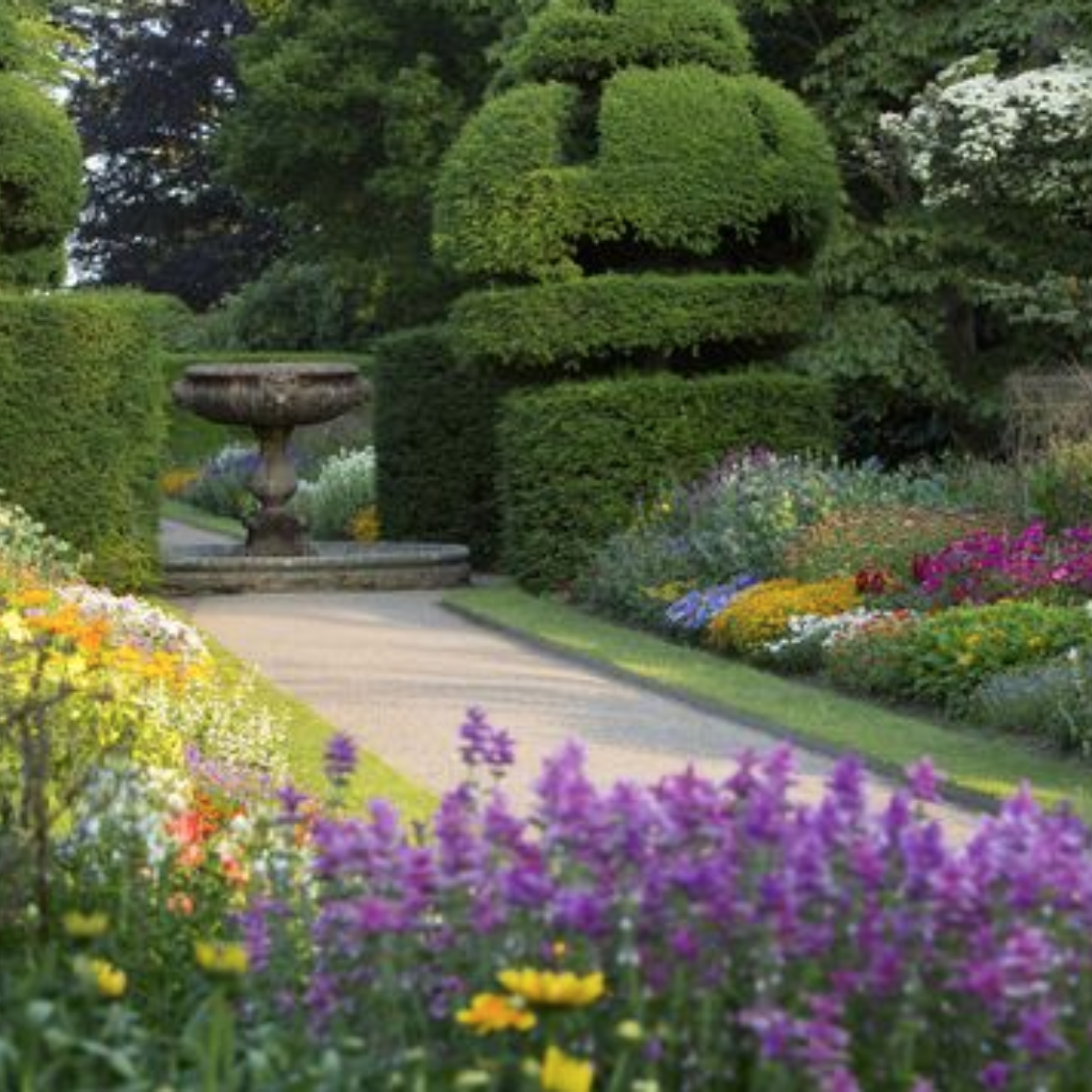 如何种植尼曼斯风格的草本植物?