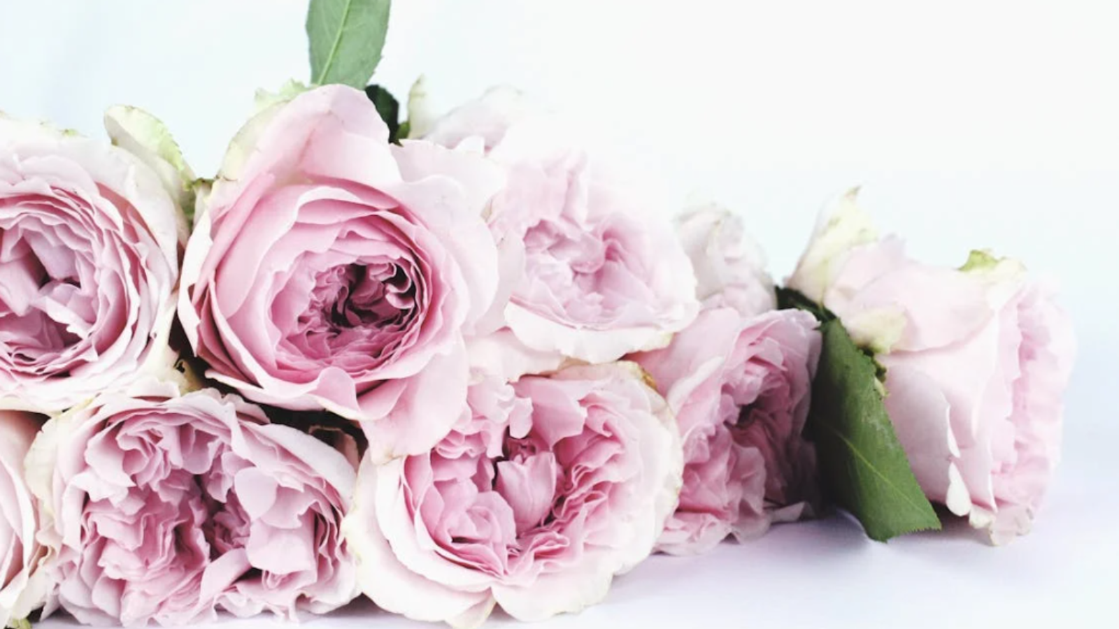 妈妈值得最好的！伦敦精选花店，用鲜花说‘我爱你