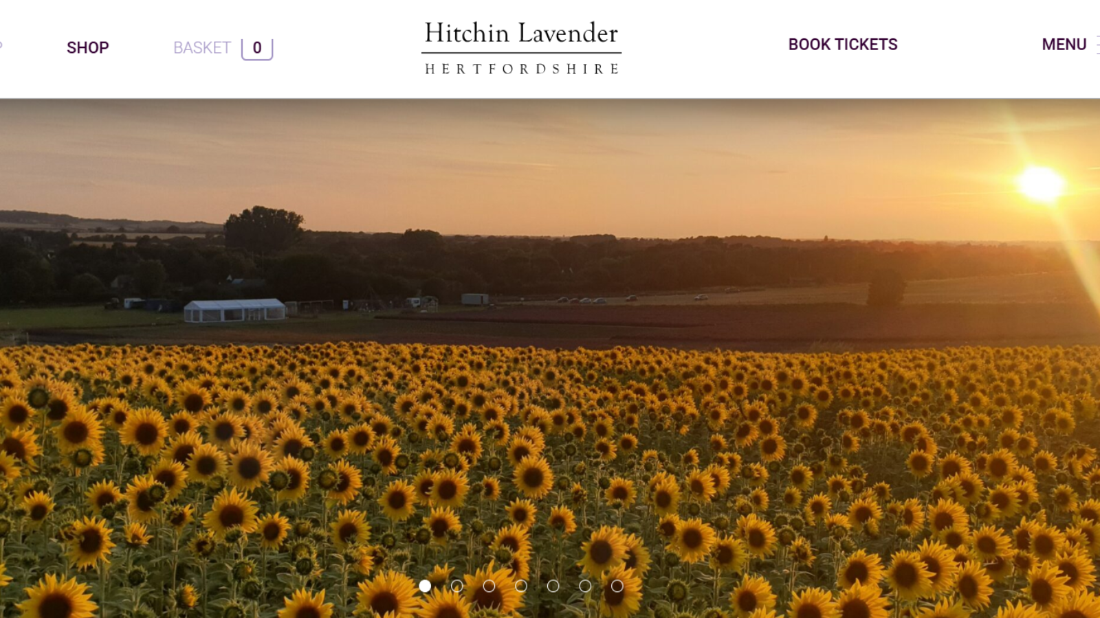 赫特福德郡的浪漫秘境:Cadwell Farm 夏日游记