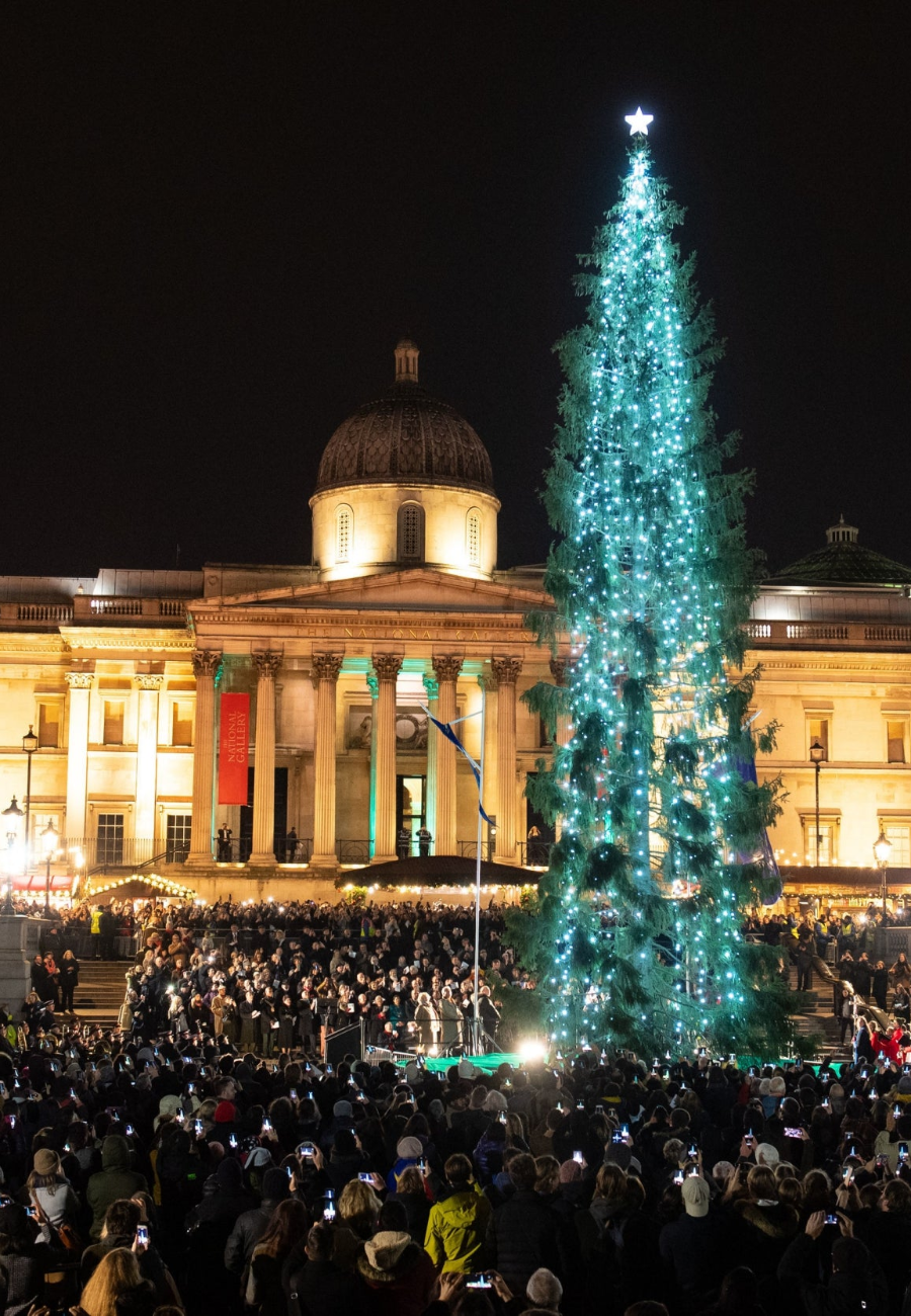 留英解析：感受英国圣诞季