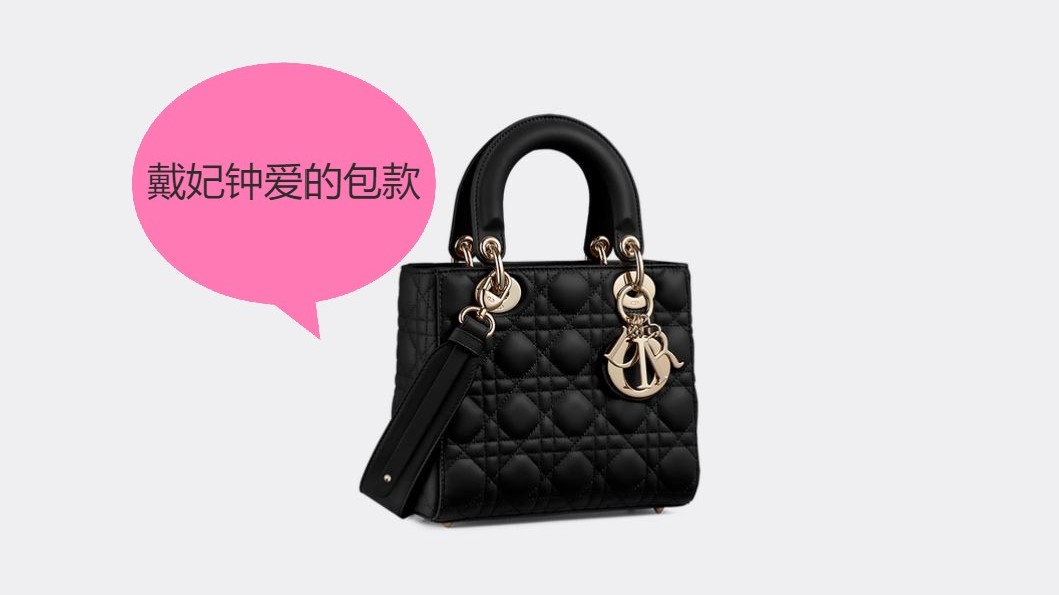 Lady Dior 戴妃爱的包包