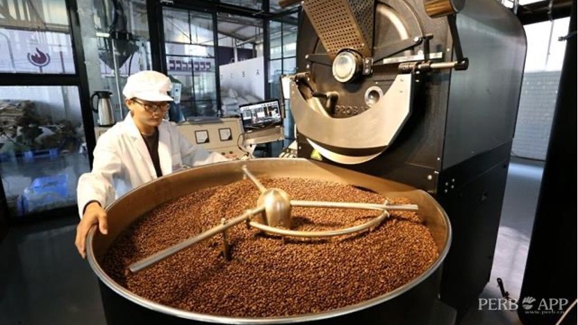 Pu'er: China's Coffee Capital