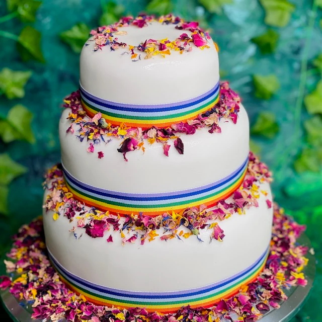 rainbow2 pollypetals