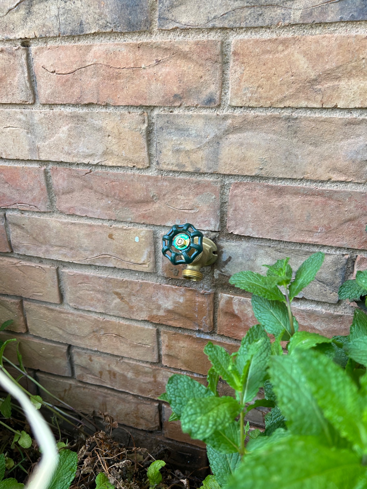 Outdoor Faucet Repair in Raintree, Lubbock, TX - Cotton City Plumbing completed an outdoor faucet repair near Raintree in Lubbock, TX.