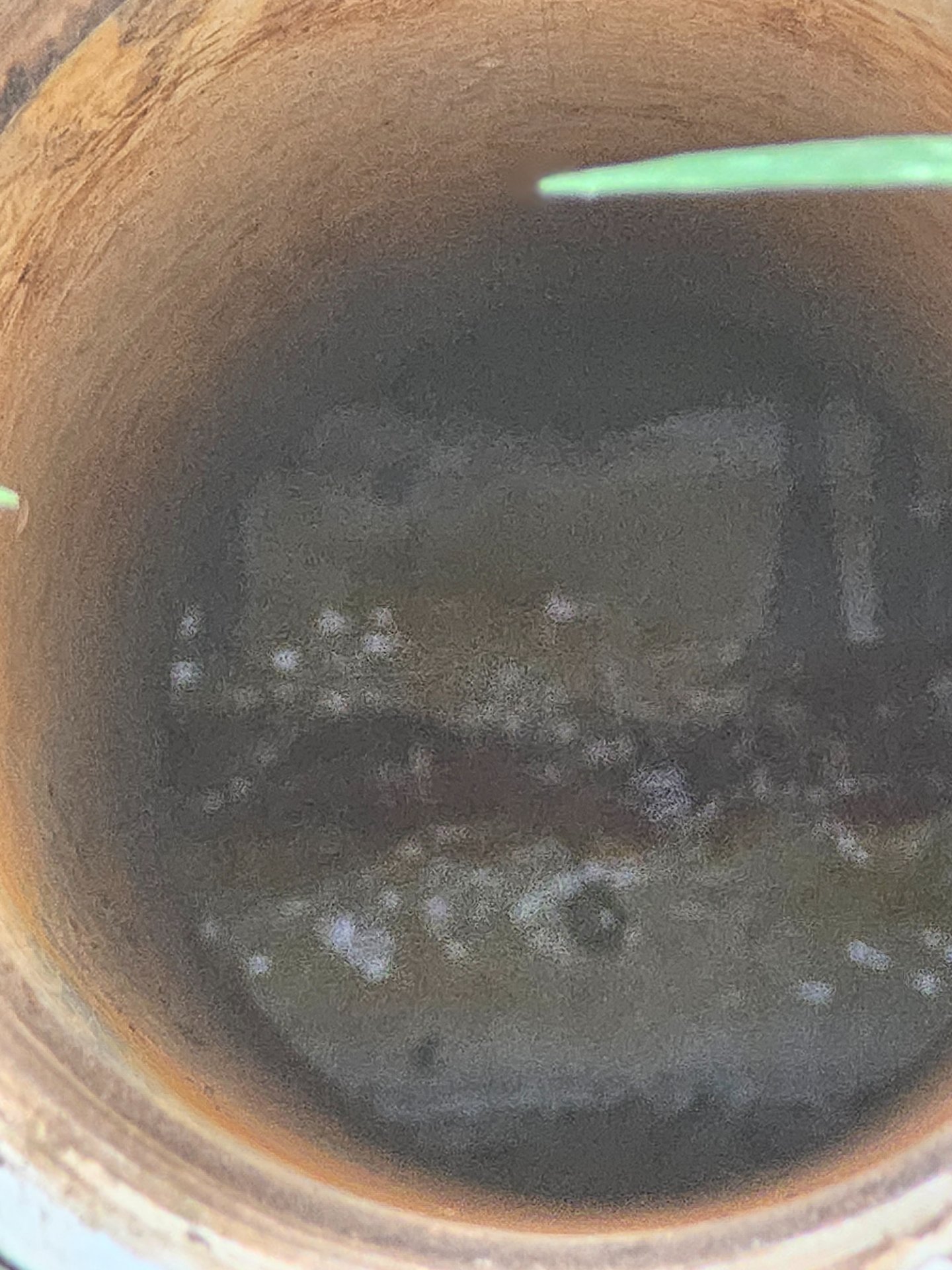 Drain Cleaning in Bowie, Lubbock, TX - Cotton City Plumbing performed a drain cleaning near Bowie in Lubbock, TX.