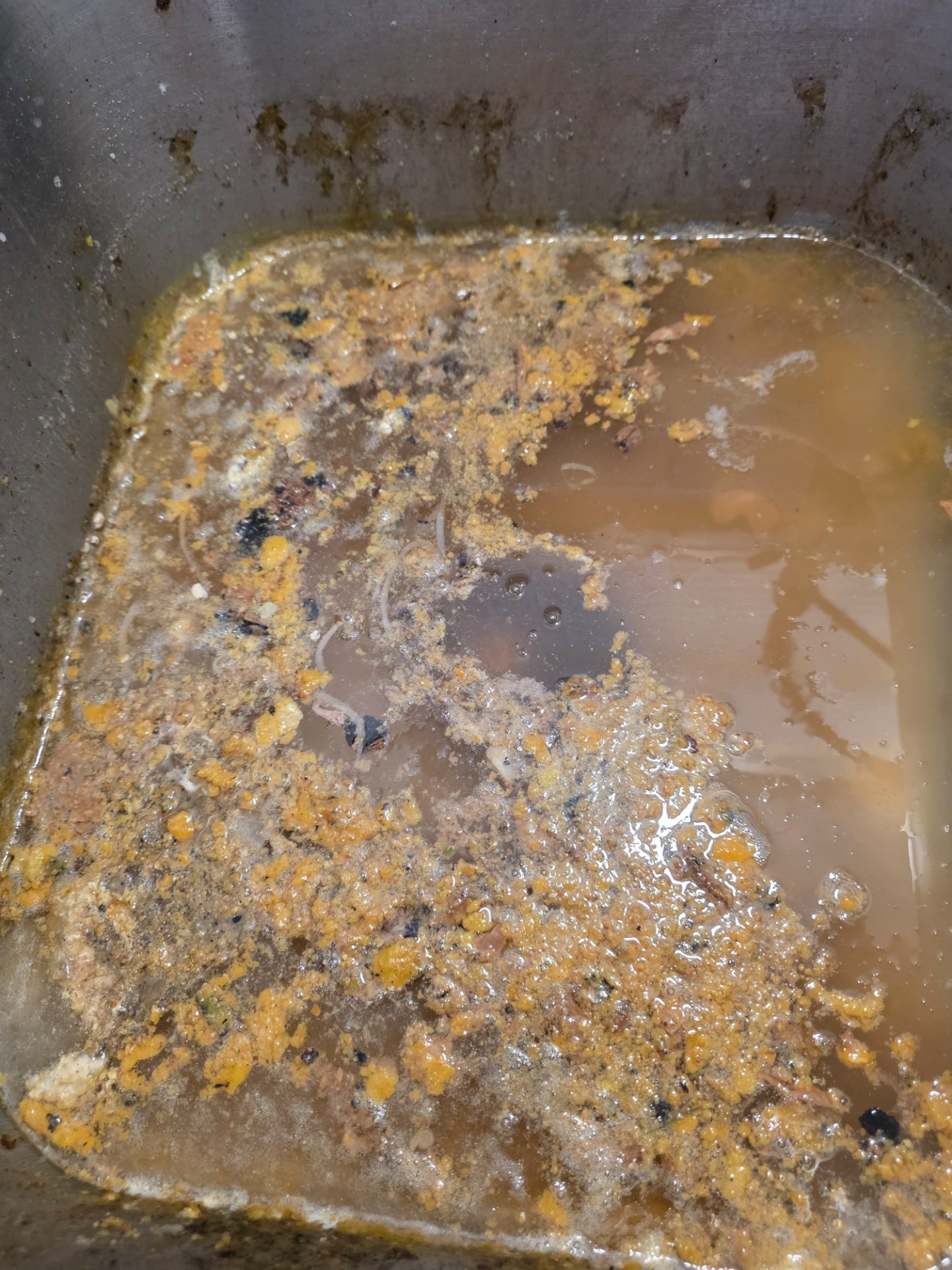 Drain Cleaning in Lubbock, TX - Cotton City Plumbing performed a drain cleaning near 4922 10th Street in Lubbock, TX.