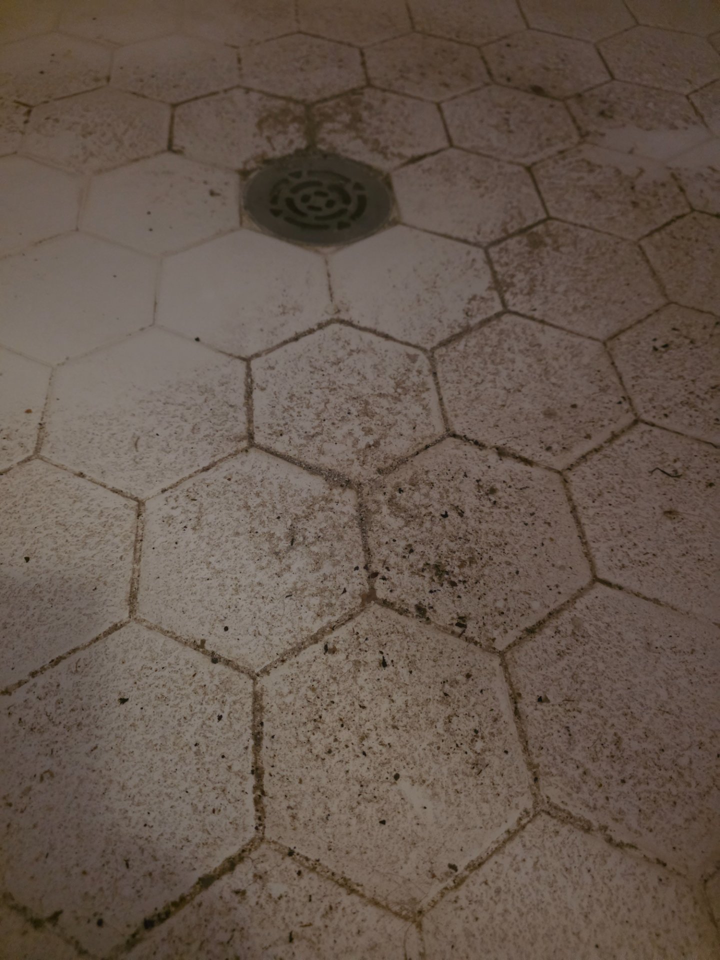 Drain Cleaning in Bowie, Lubbock, TX - Cotton City Plumbing completed a drain cleaning near Bowie in Lubbock, TX.