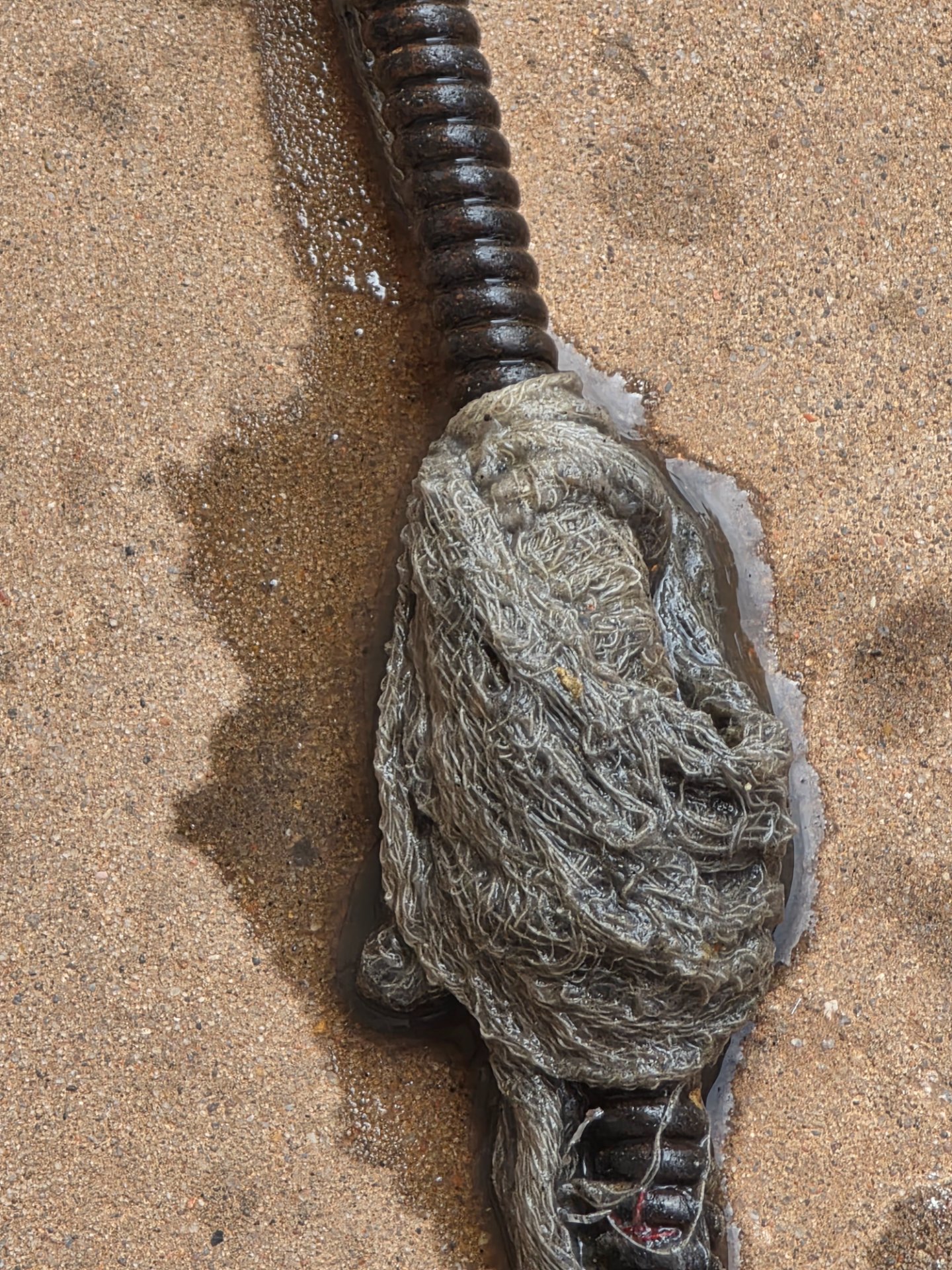 Drain Cleaning in Abernathy, TX - Cotton City Plumbing completed a drain cleaning near 207 Main St in Abernathy, TX.