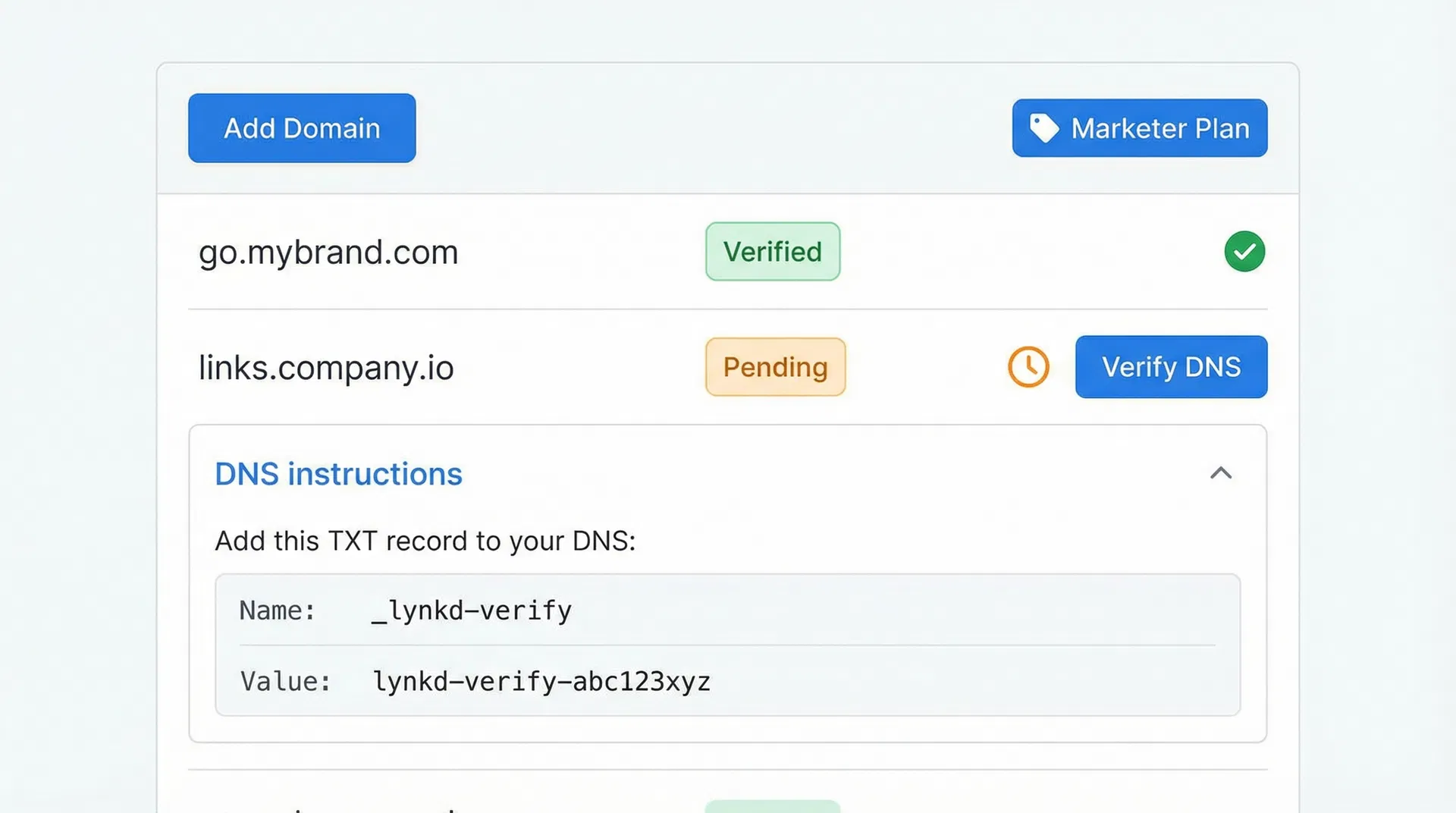 Custom Domains page showing a verified domain and a pending domain with DNS instructions