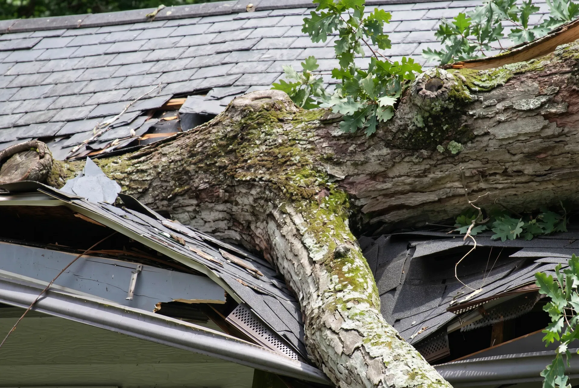 Emergency Storm Damage Repair — Edinburgh