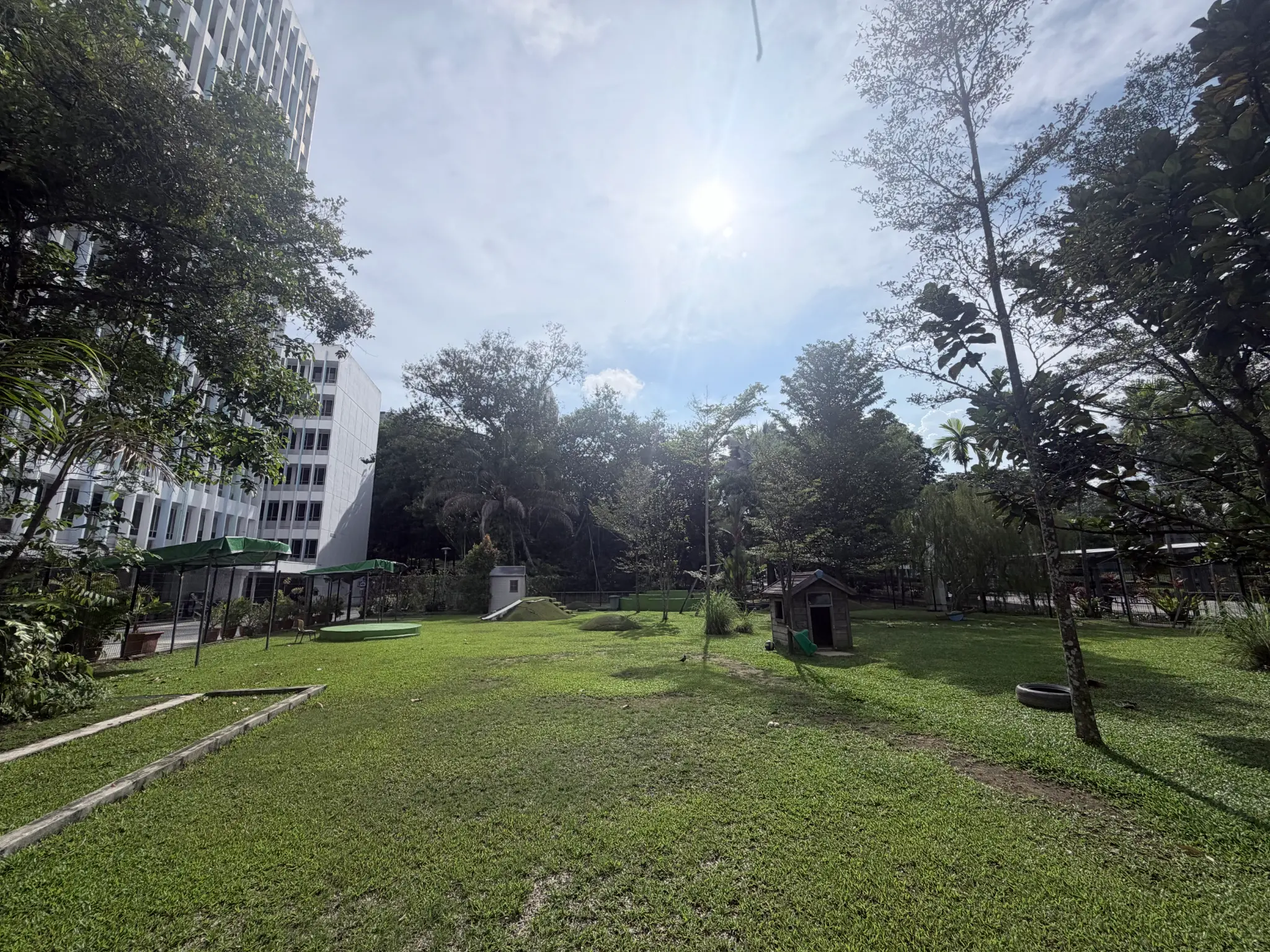 Campus Green Space