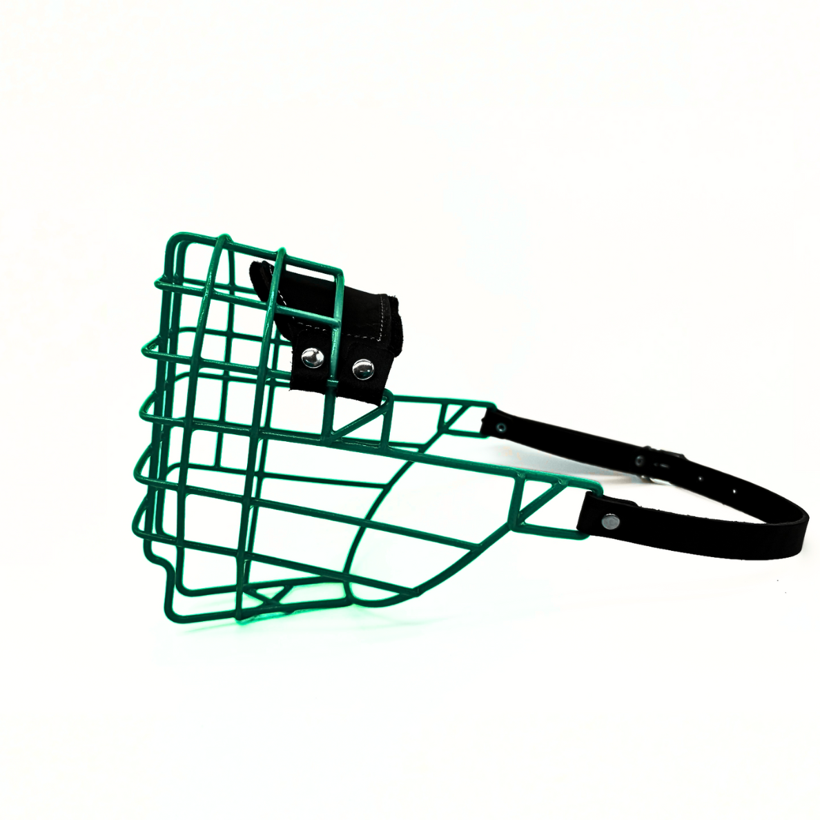 MyMauli Berner Sennenhund Maulkorb in Königsgrün