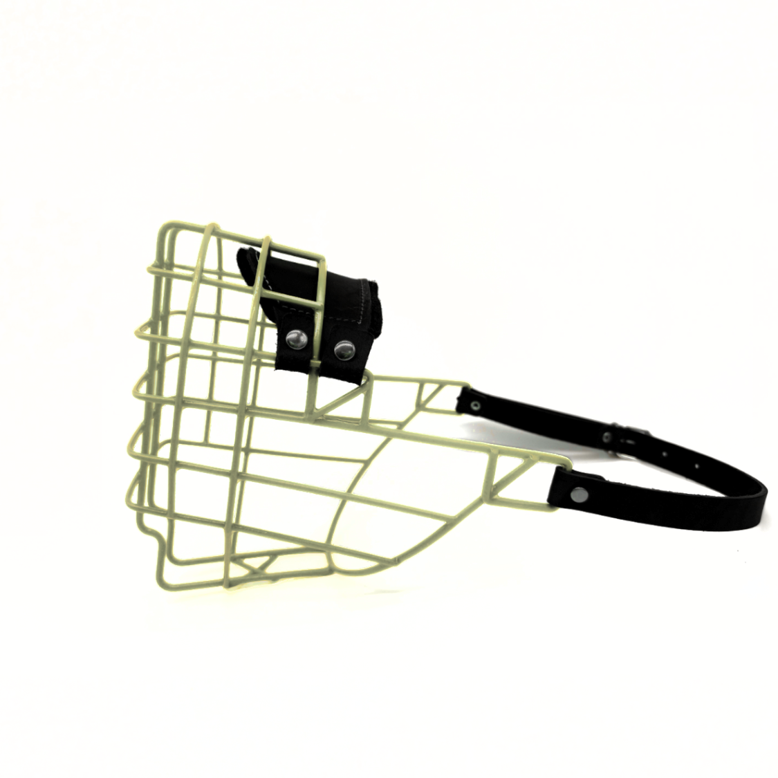 MyMauli "Berner Sennenhund"