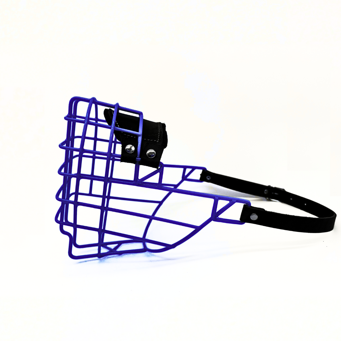 MyMauli Berner Sennenhund Maulkorb in Ozeanblau