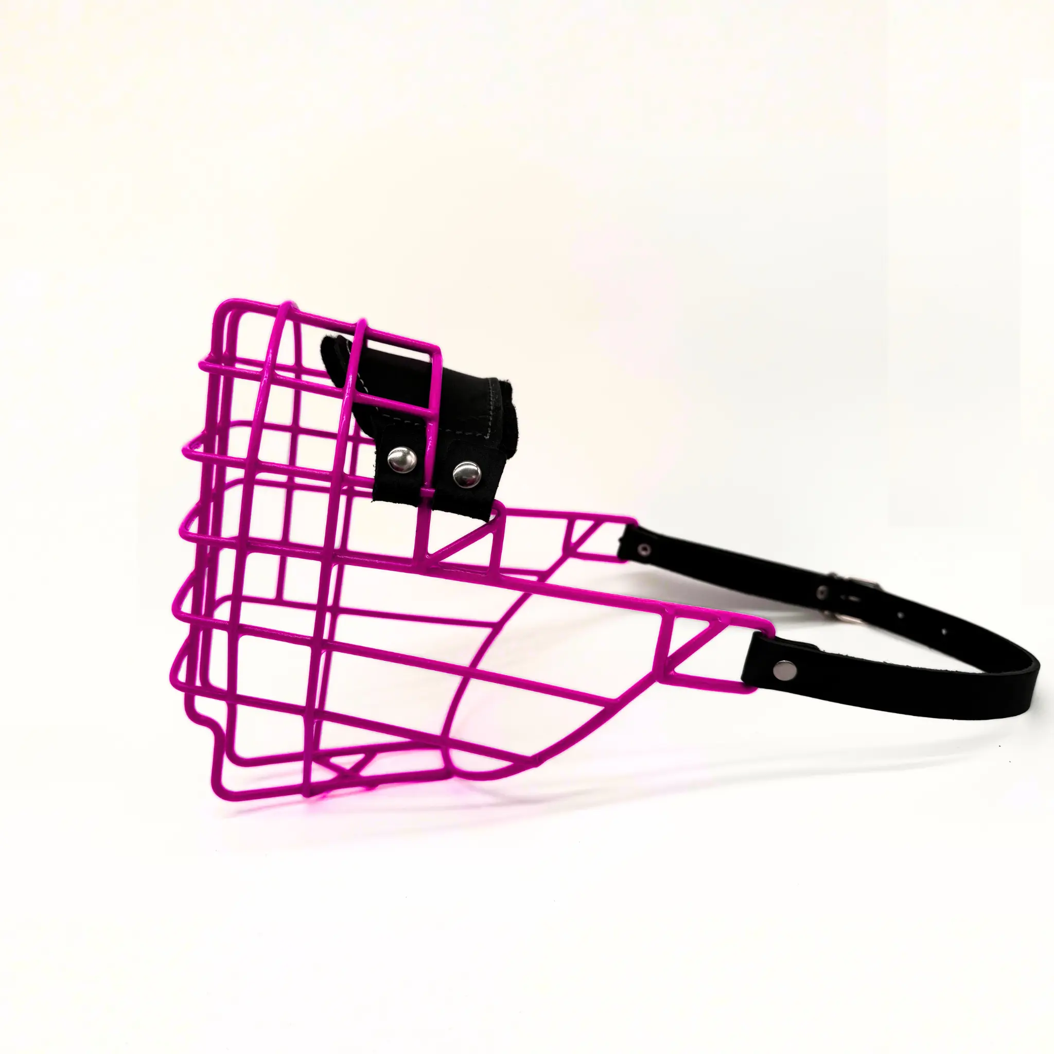 MyMauli Berner Sennenhund Maulkorb in Pink