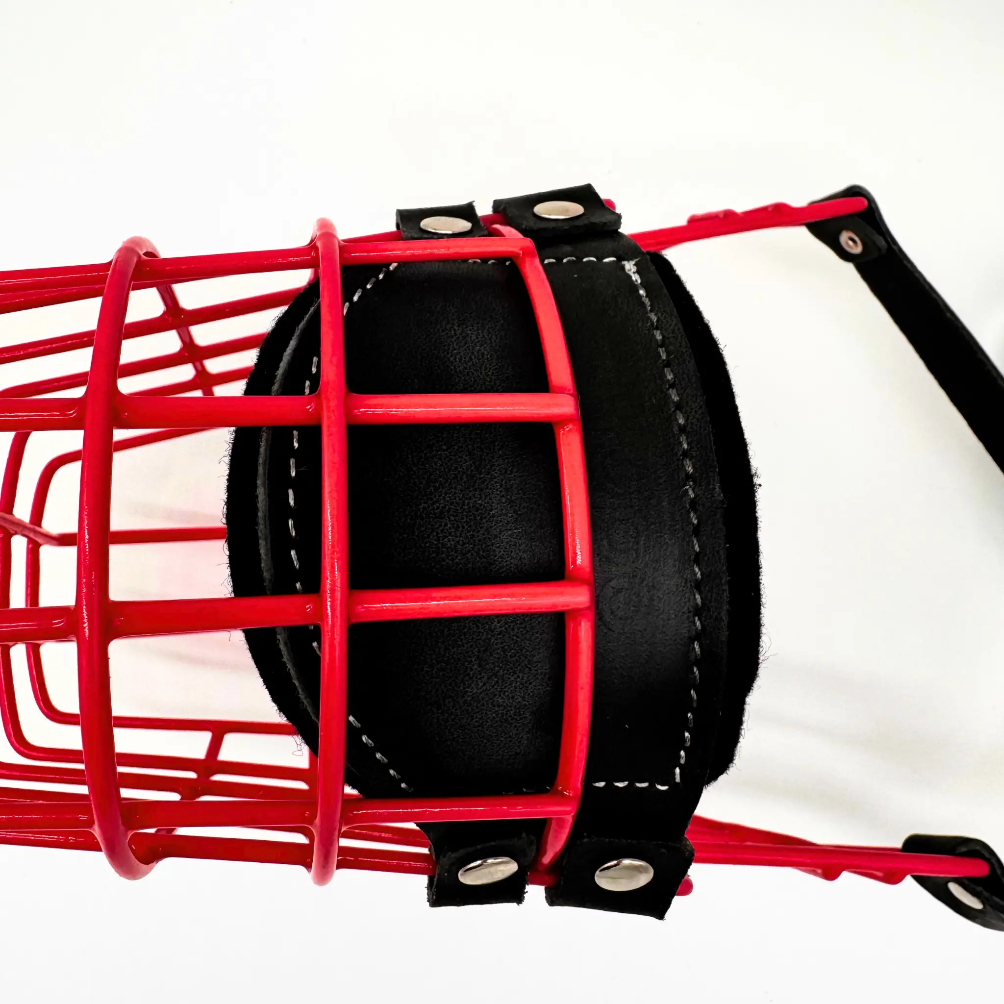 MyMauli Berner Sennenhund Polster Nahaufnahme