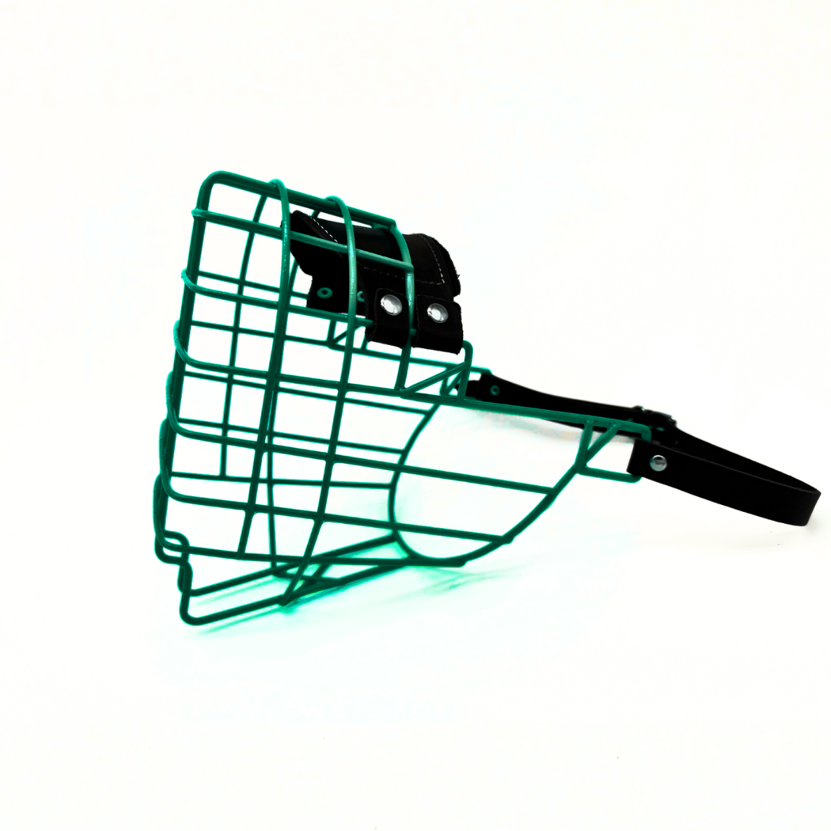 MyMauli Bernhardiner Maulkorb in Königsgrün