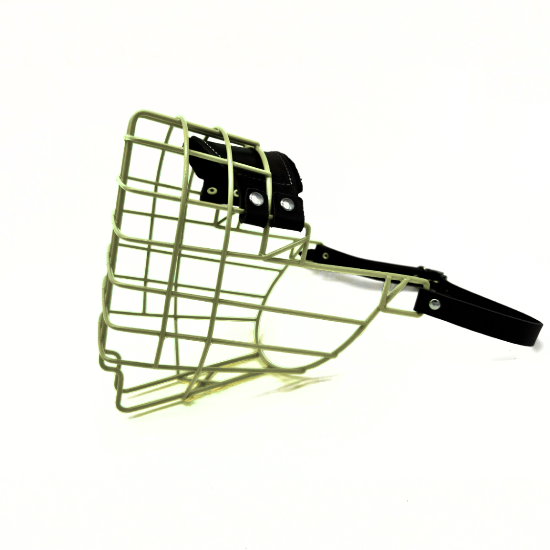 MyMauli "Bernhardiner"