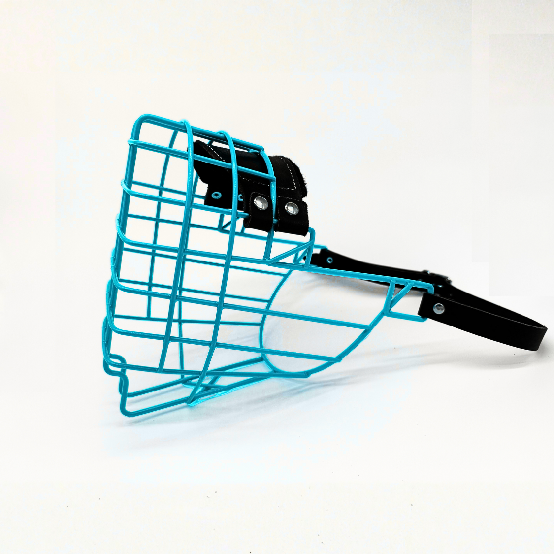 MyMauli Bernhardiner Maulkorb in Türkis