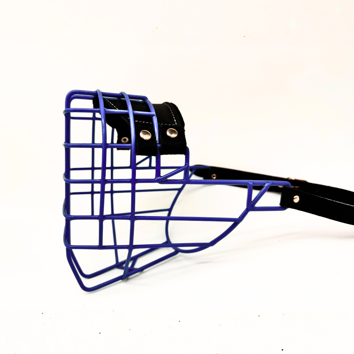 MyMauli Tosa-Inu Maulkorb in Ozeanblau