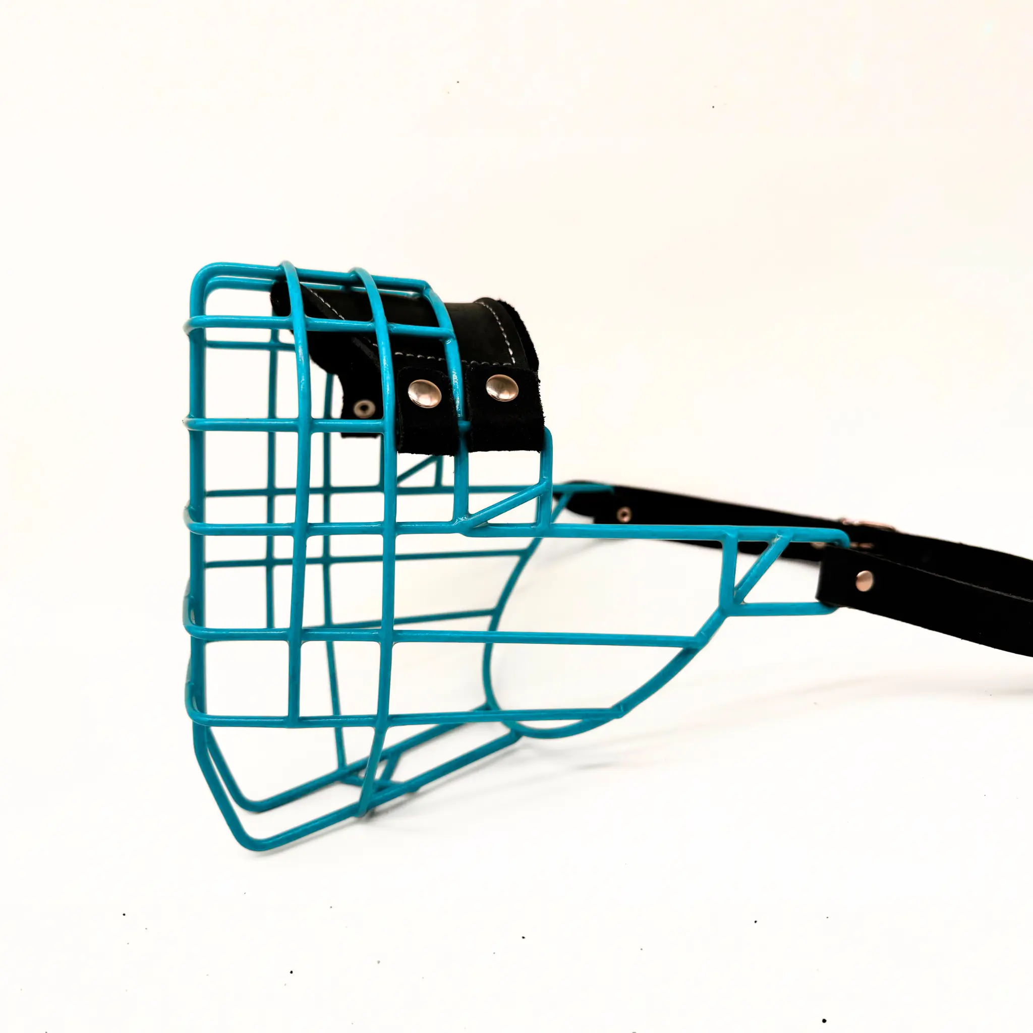 MyMauli Tosa-Inu Maulkorb in Türkis