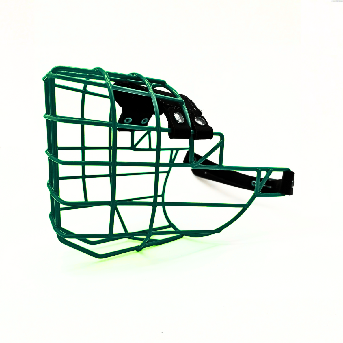 MyMauli Rumänischer Straßenhund Maulkorb in Königsgrün