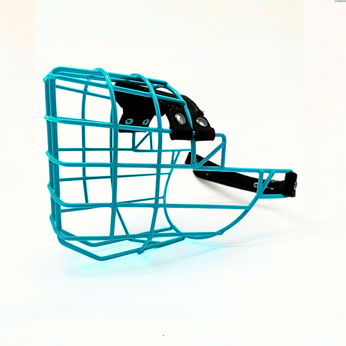 MyMauli Rumänischer Straßenhund Maulkorb in Türkis