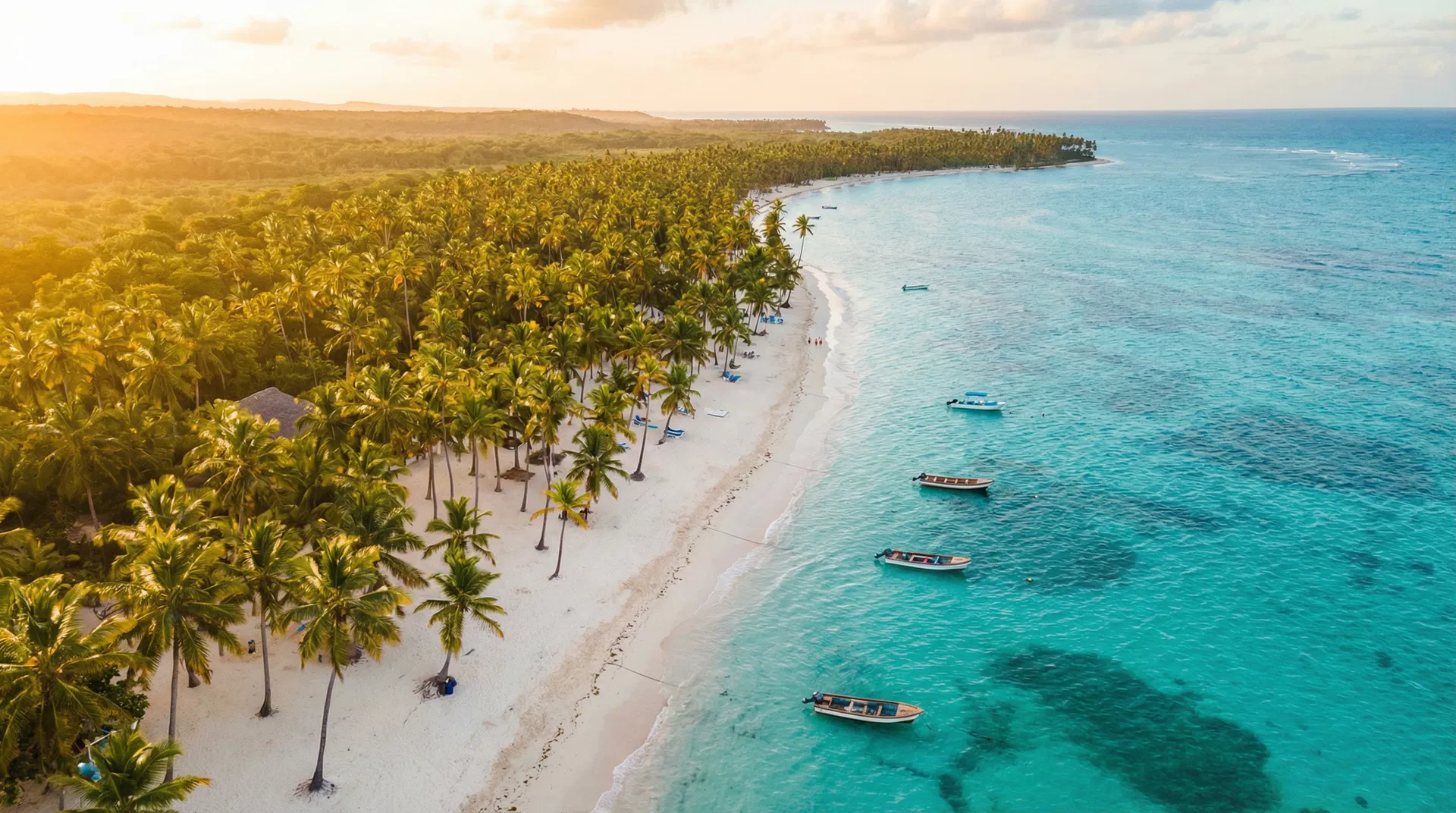 Dominican Republic beach aerial view