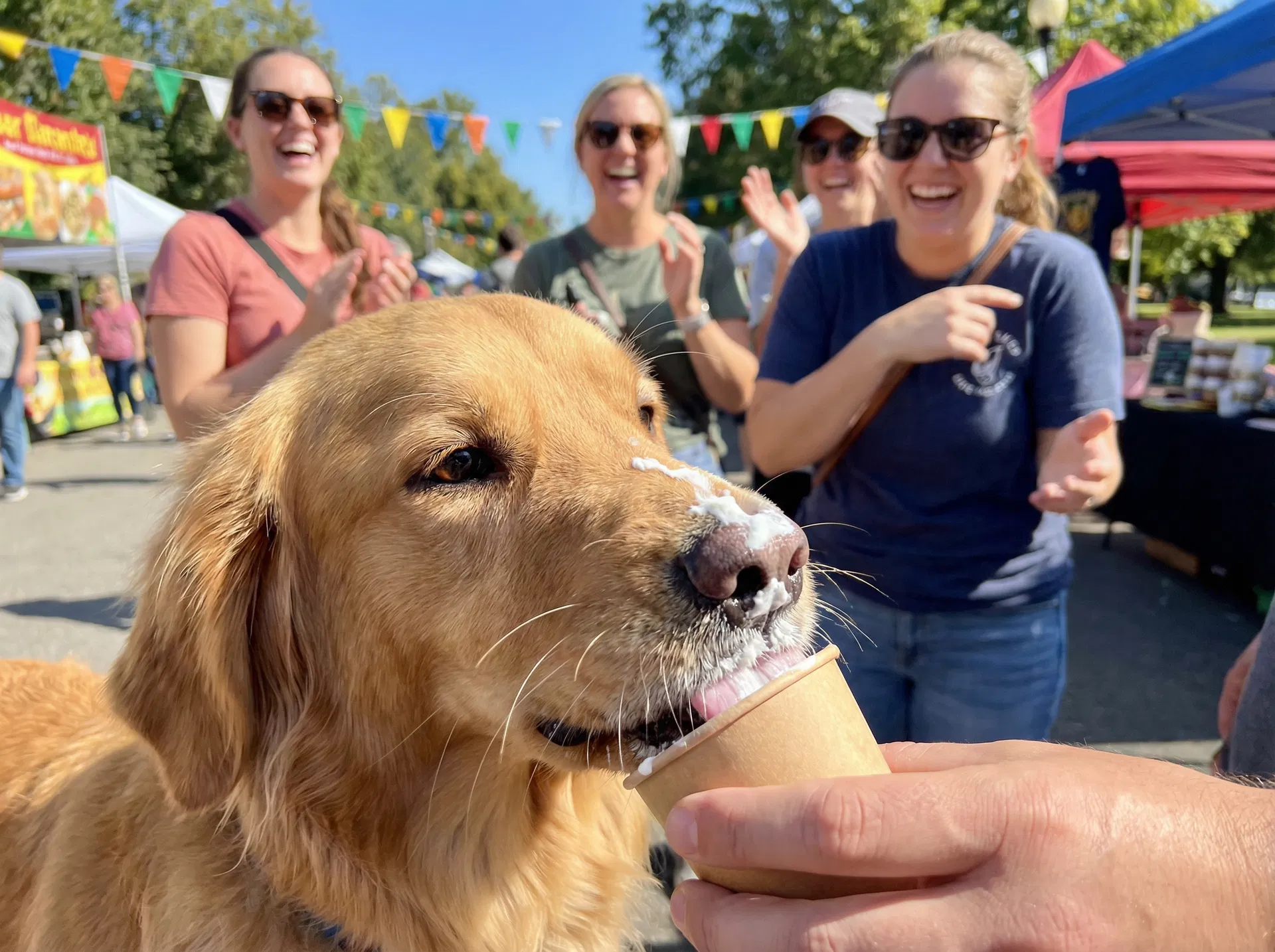 Pup Cup Contest