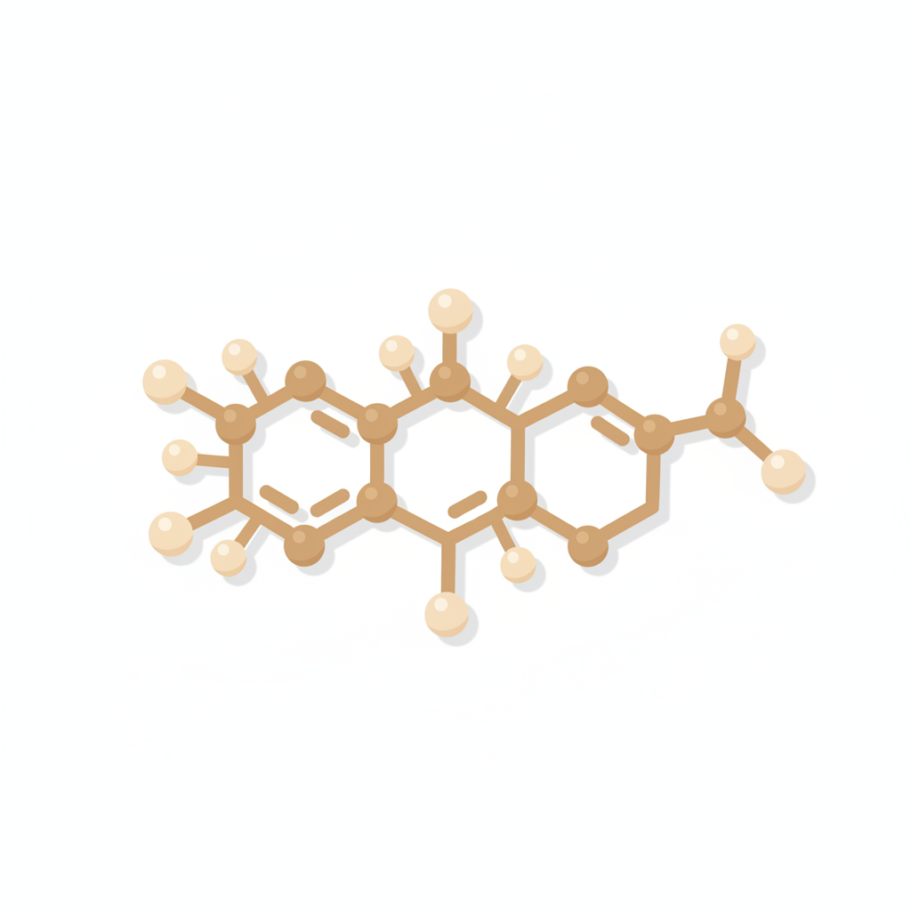 副腎由来のDHEA-Sがニキビ発生に影響を与えるホルモン経路