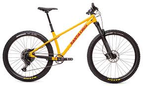 SANTA CRUZ CHAMELEON