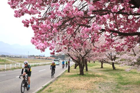 【櫻花】 2026 阿爾卑斯山安曇野百英里騎行