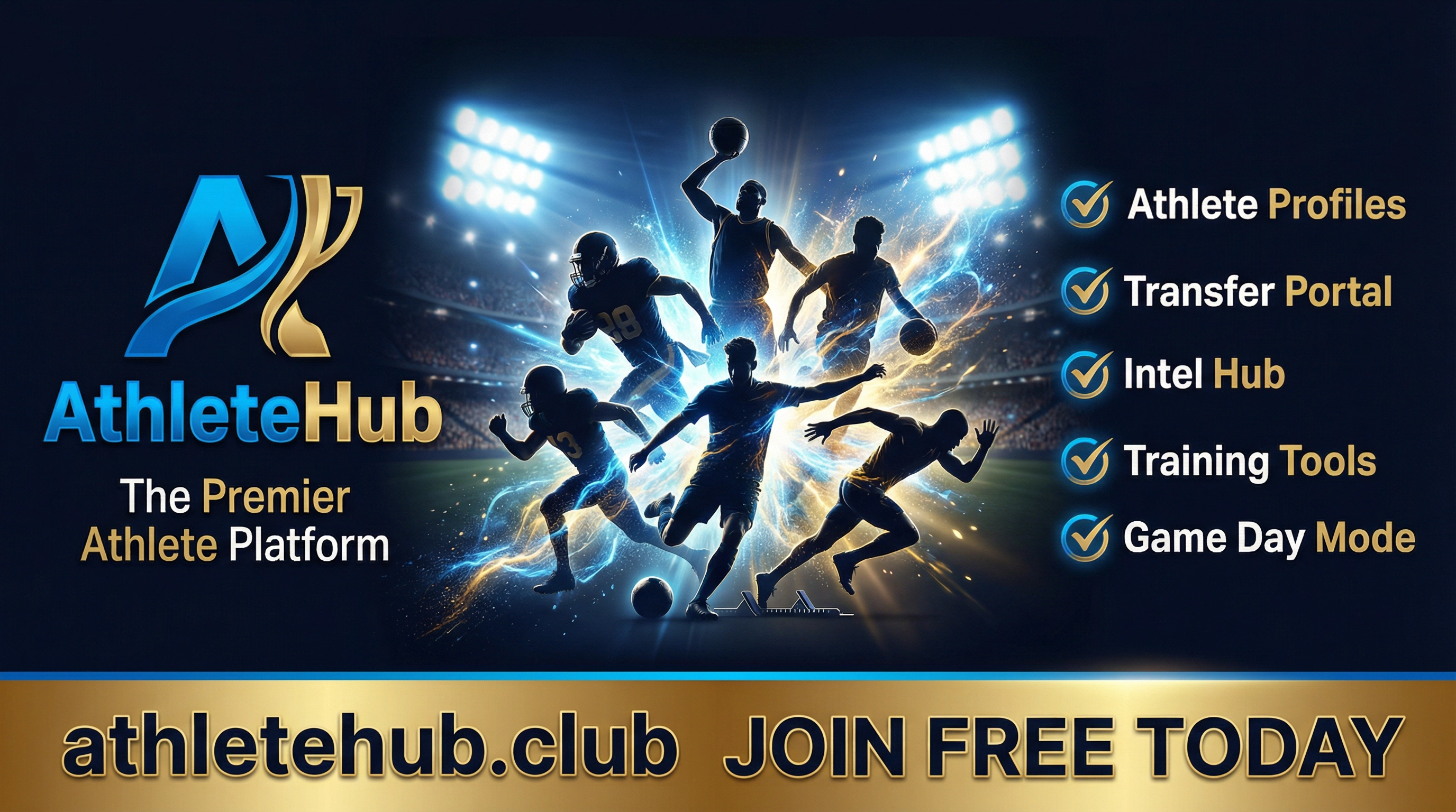 Platform Overview Banner