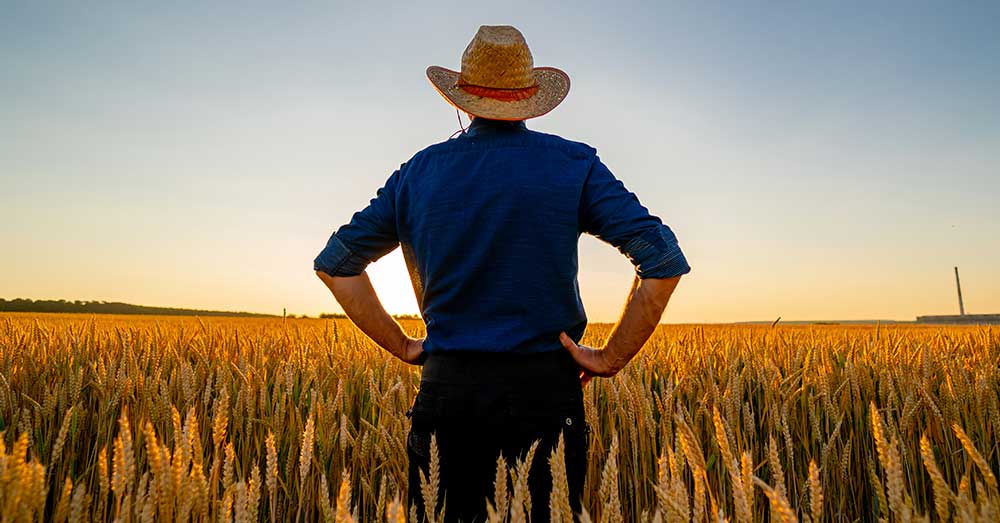 TRF4 reconhece tempo especial mesmo após INSS negar tempo rural e insalubridade.