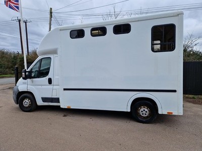 Peugeot Horsebox Horse Box 2010 14