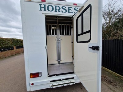 Peugeot Horsebox Horse Box 2010 15