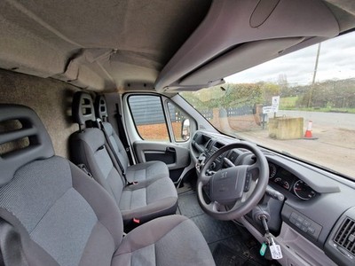 Peugeot Horsebox Horse Box 2010 5