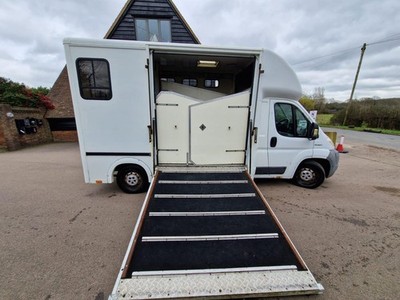 Peugeot Horsebox Horse Box 2010 9