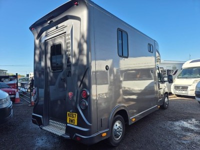 Peugeot Regents Stallion Horsebox Horse Box 2017 ** Now Sold ** 9