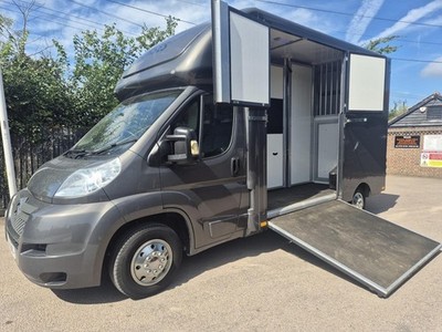 Citroen Oakland Coach Builders Horse Box Horsebox 2014 3