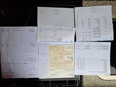 Iveco Ascot Supreme Horsebox Horse box 7