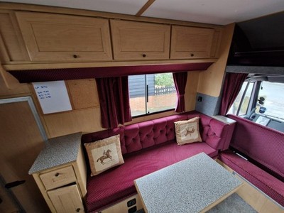 Iveco Ascot Supreme Horsebox Horse box 9