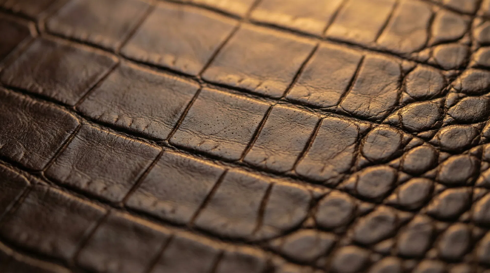 クロコダイルレザー