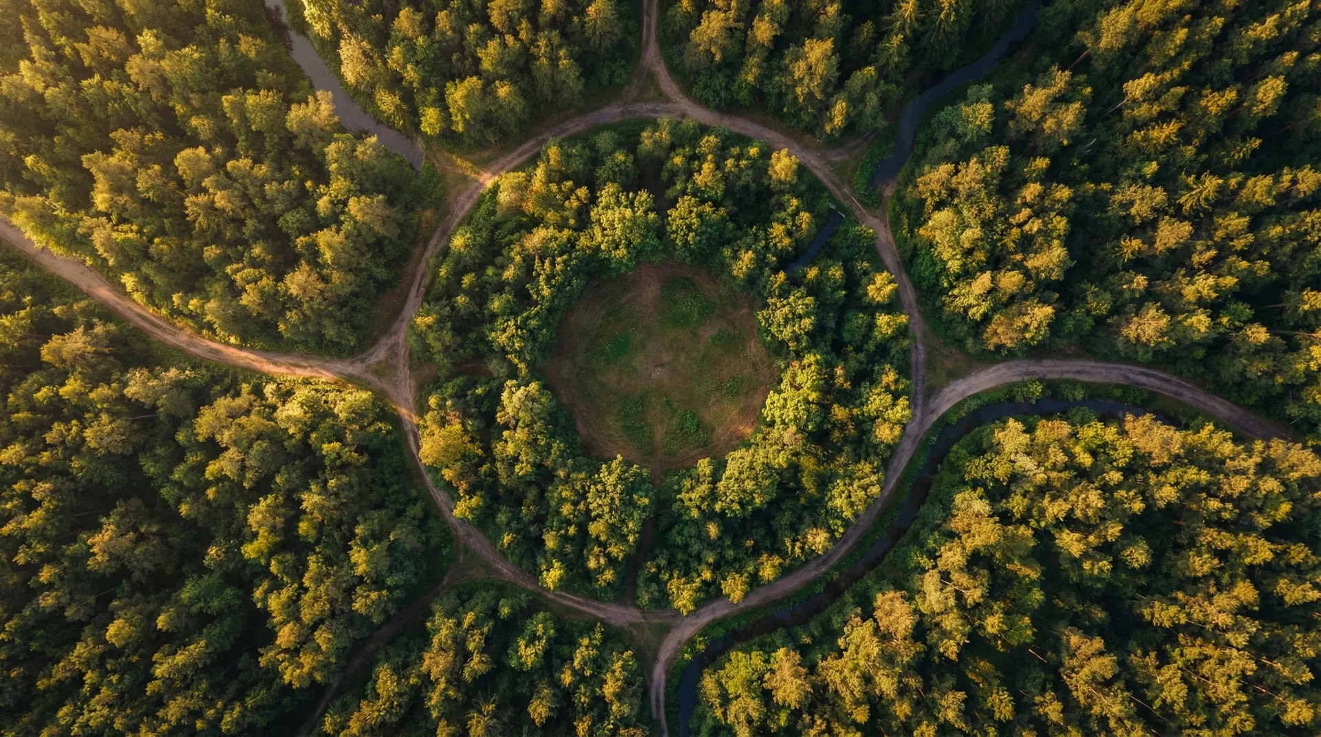 Circulaire economie — verbonden bospaden vanuit de lucht