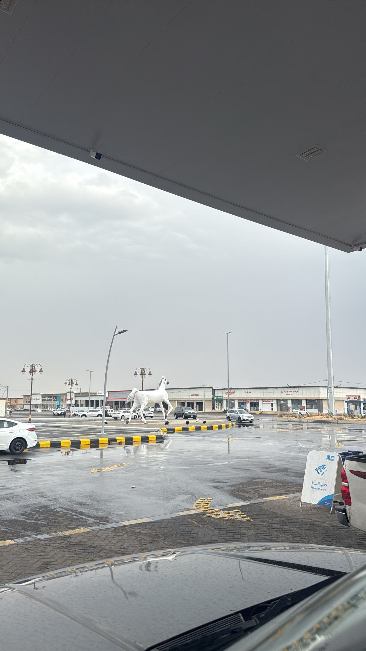 دوار الفانوس سابقا والان فرص ال مسعود