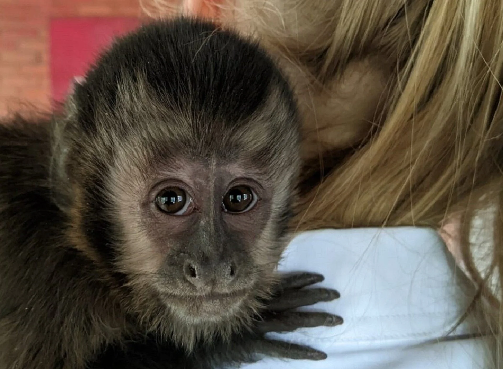 AFASI wildlife sanctuary