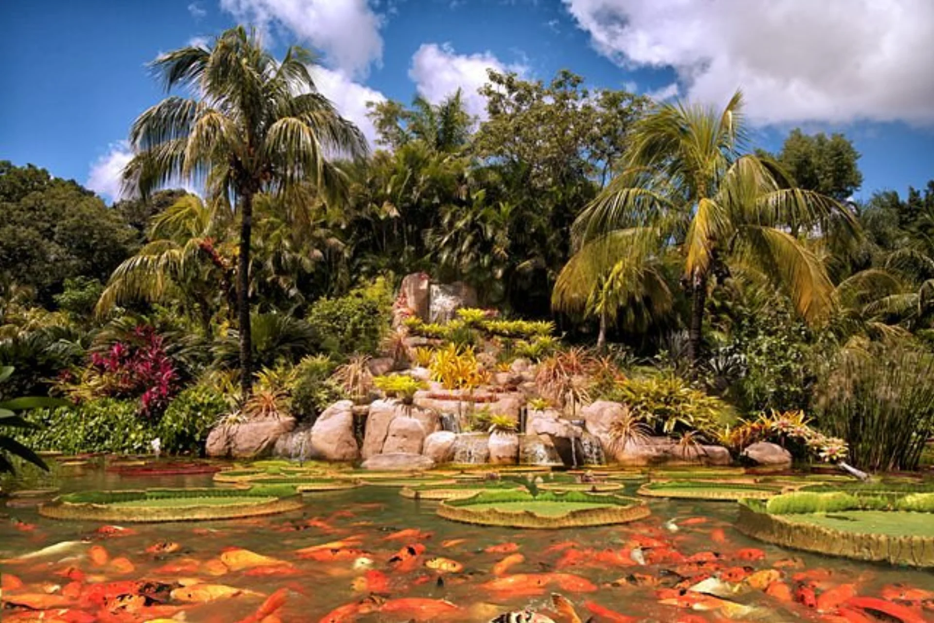 Ecoparque La Rinconada