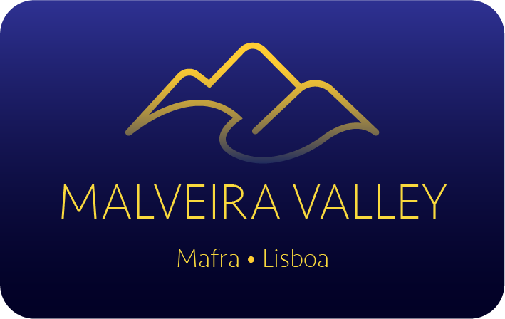 Logo Malveira Valley 